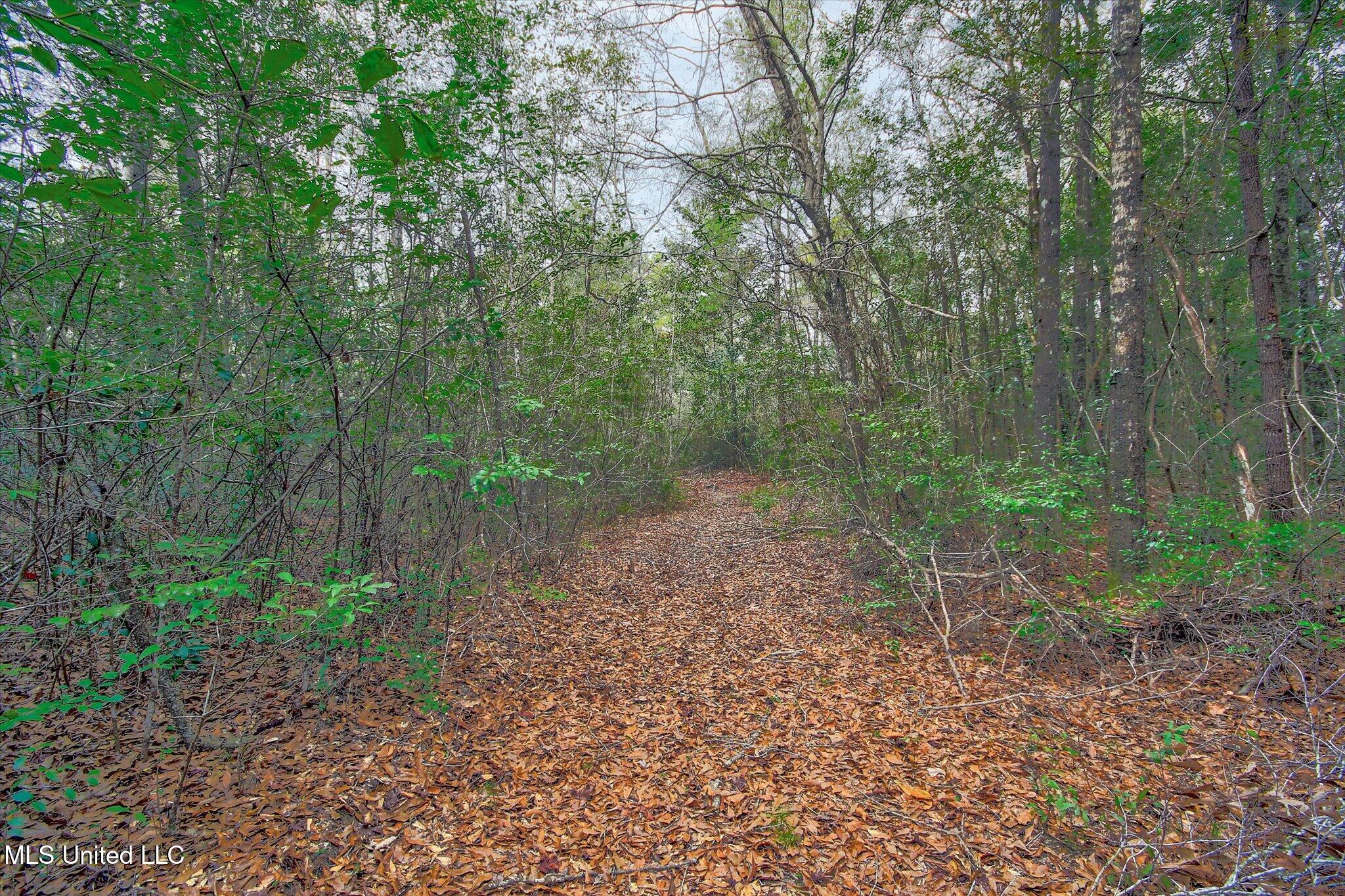 22445 Road 374 Kiln, MS 39556 - Photo 6 of 28 19-Woods