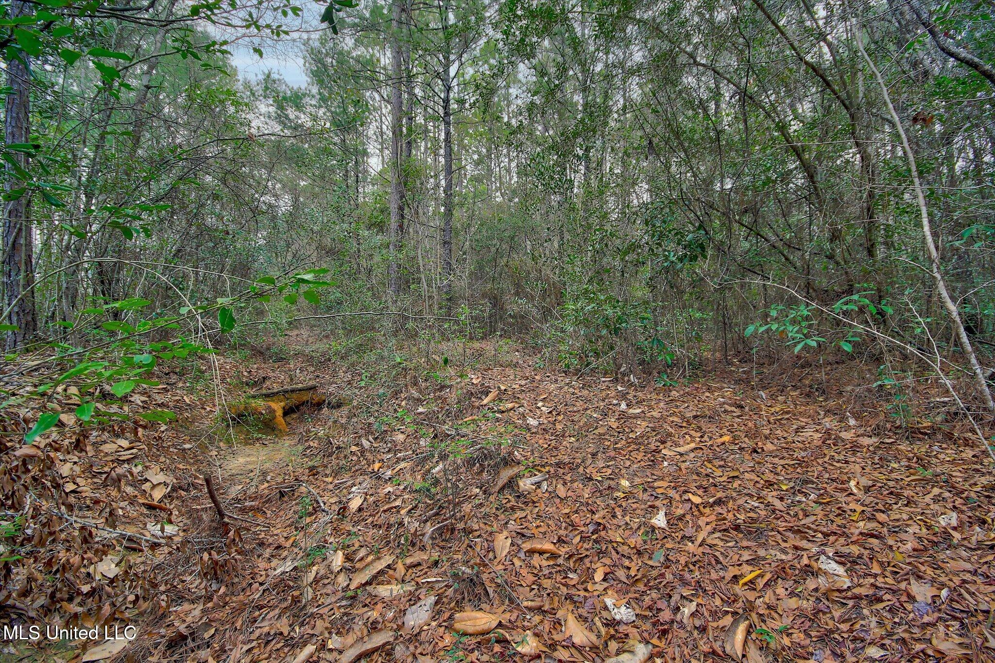 22445 Road 374 Kiln, MS 39556 - Photo 7 of 28 11-Woods