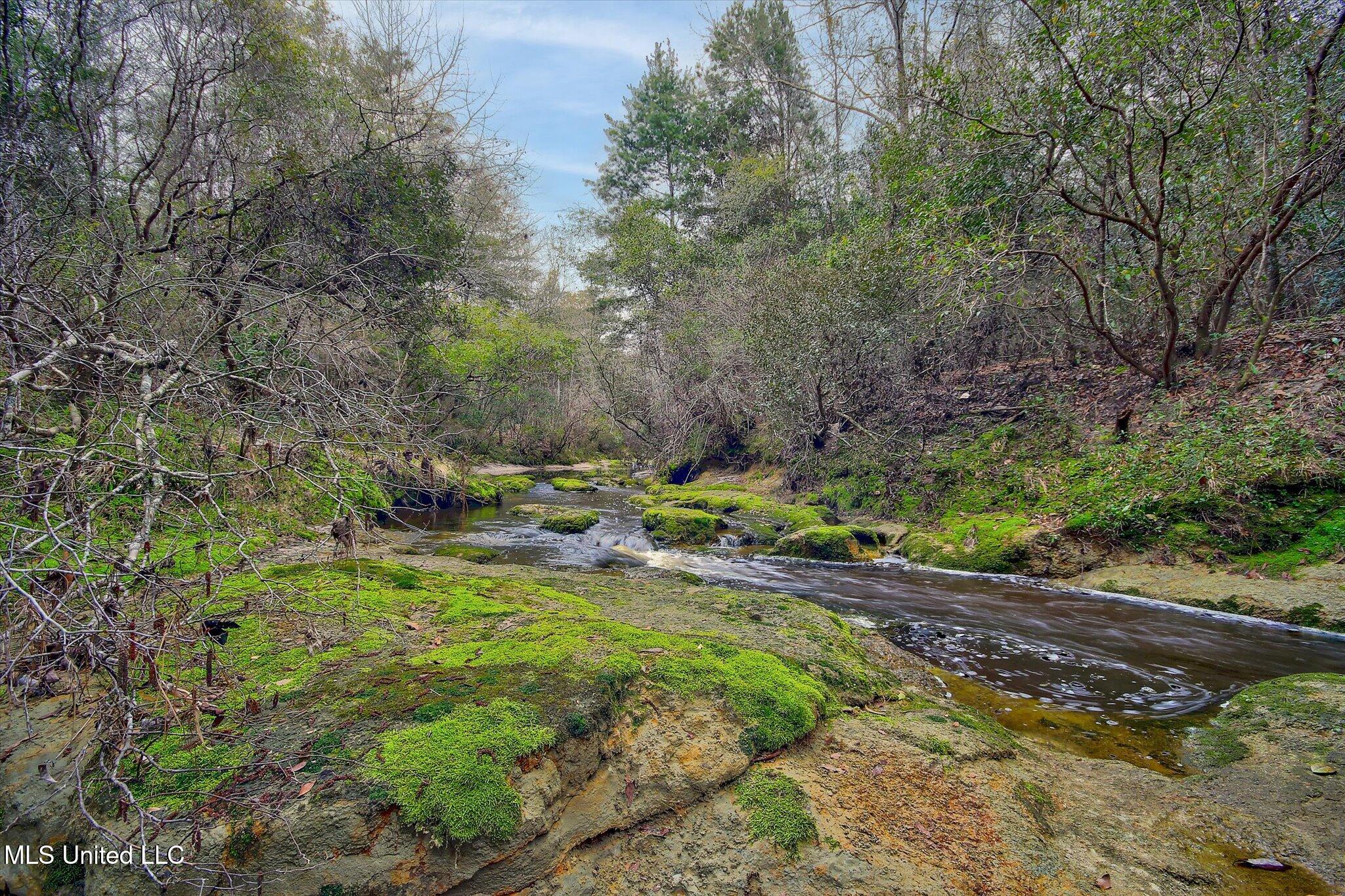 22445 Road 374 Kiln, MS 39556 - Photo 9 of 28 05-Creek
