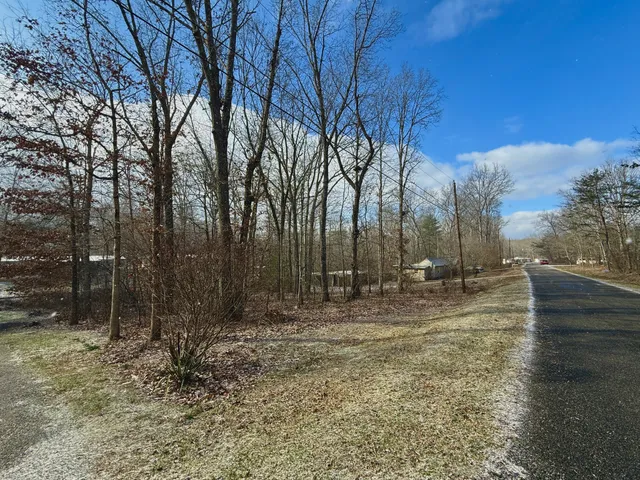 a view of a yard with trees