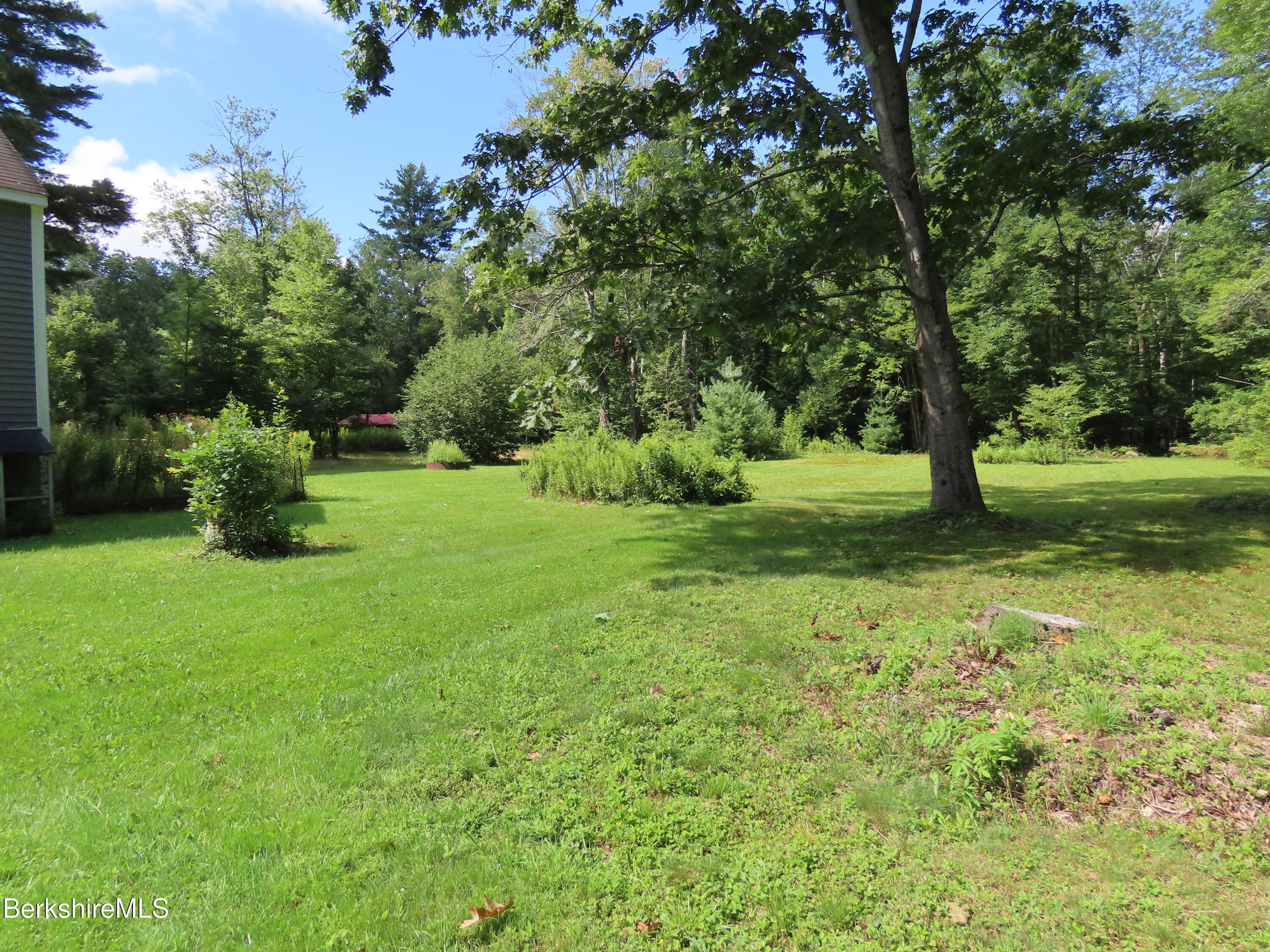 1303 River Road Clarksburg, MA 01247 - Photo 45 of 65 back yard