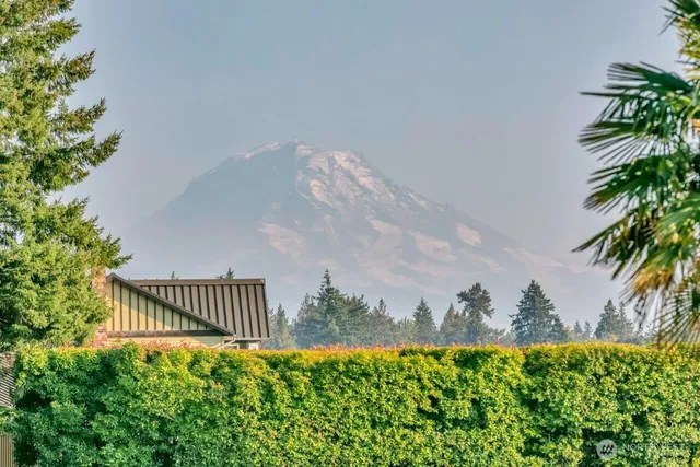 a view of outdoor space and yard