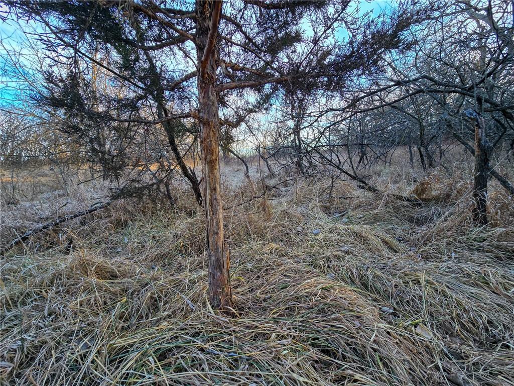 13013 Bradford Road Harveyville, KS 66431 - Photo 14 of 56