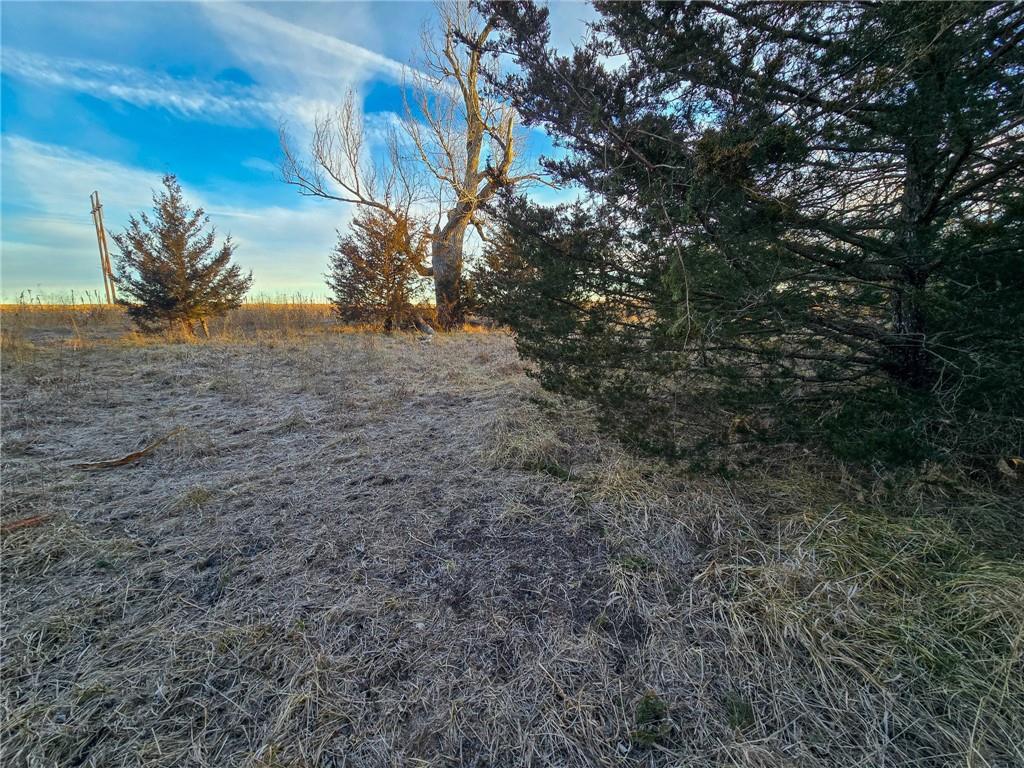 13013 Bradford Road Harveyville, KS 66431 - Photo 15 of 56