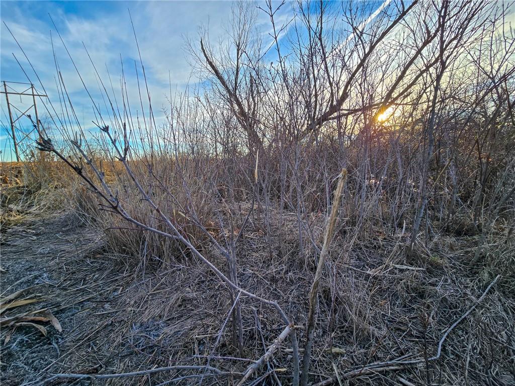 13013 Bradford Road Harveyville, KS 66431 - Photo 20 of 56