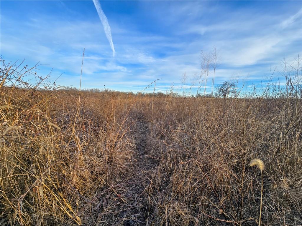 13013 Bradford Road Harveyville, KS 66431 - Photo 22 of 56