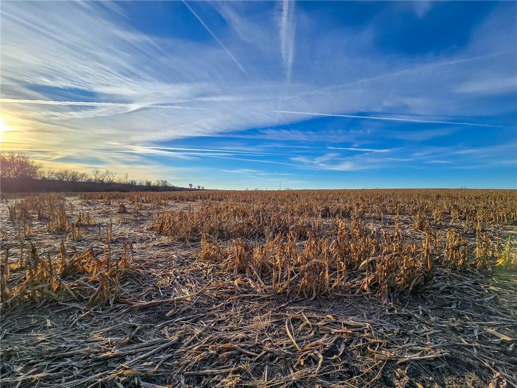 13013 Bradford Road Harveyville, KS 66431 - Photo 23 of 56