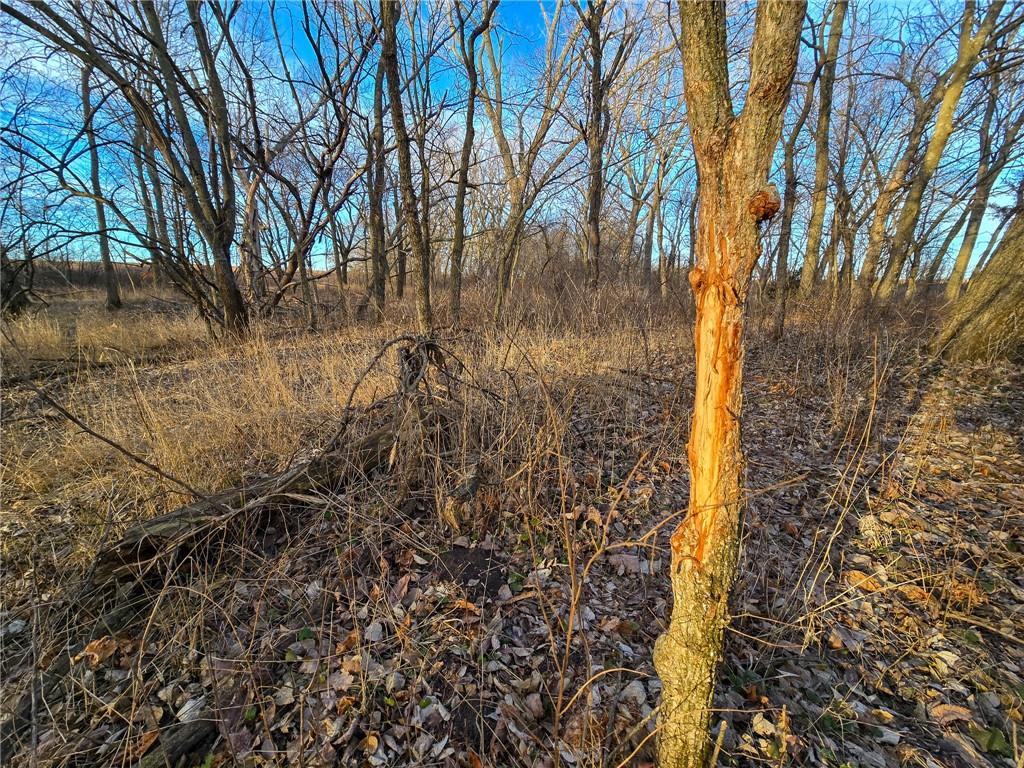 13013 Bradford Road Harveyville, KS 66431 - Photo 26 of 56