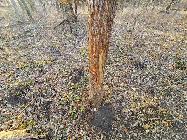 $599,500 | 13013 Bradford Road, Harveyville, KS 66431