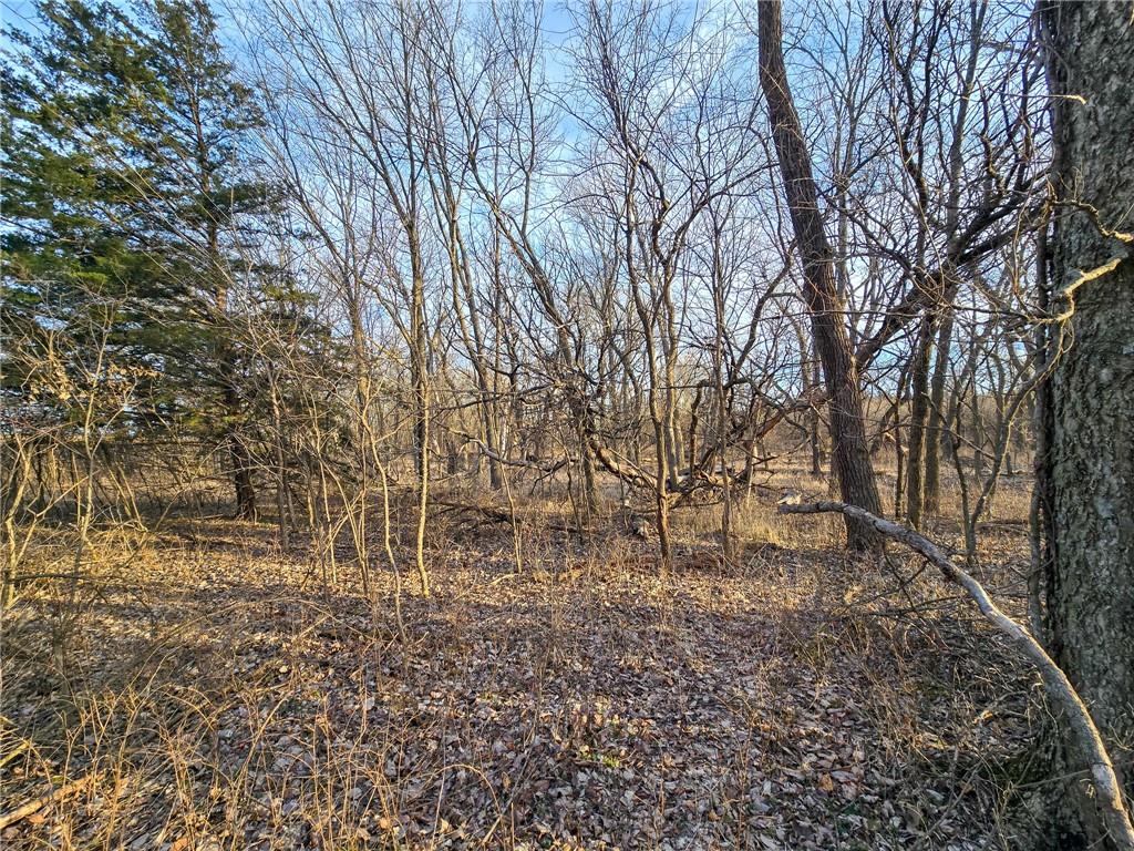 13013 Bradford Road Harveyville, KS 66431 - Photo 28 of 56