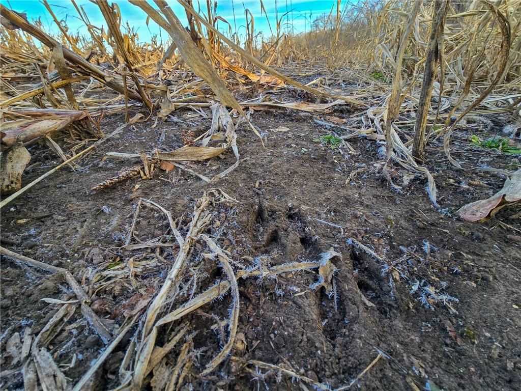 13013 Bradford Road Harveyville, KS 66431 - Photo 30 of 56