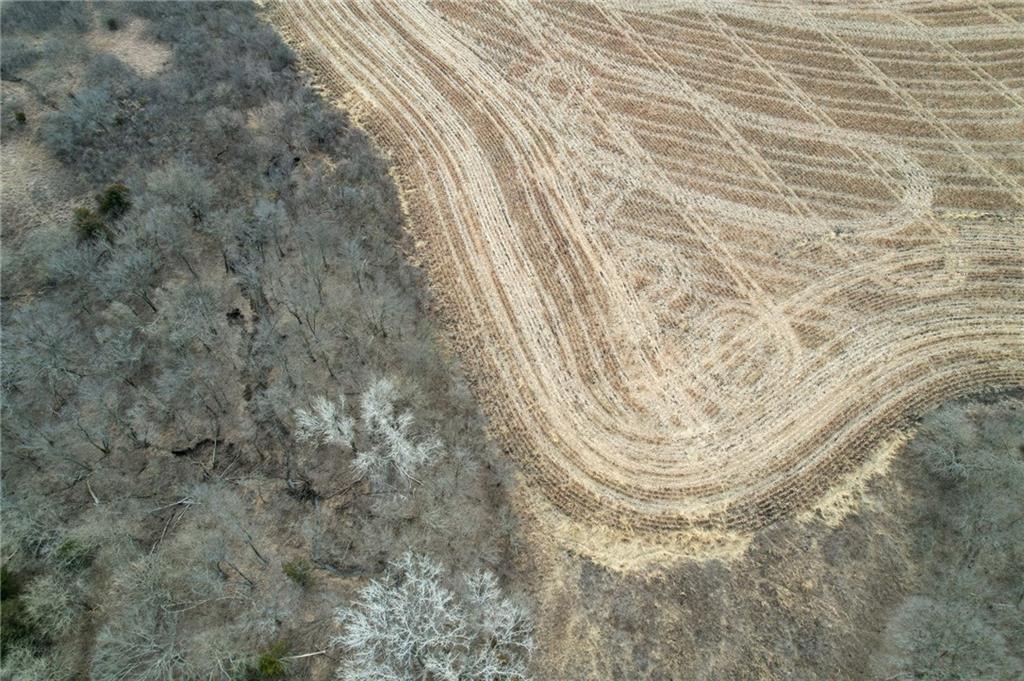 13013 Bradford Road Harveyville, KS 66431 - Photo 41 of 56