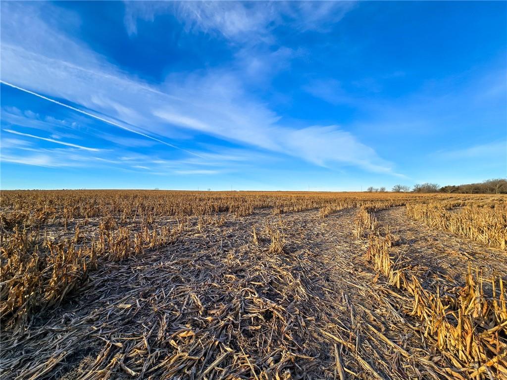 13013 Bradford Road Harveyville, KS 66431 - Photo 5 of 56