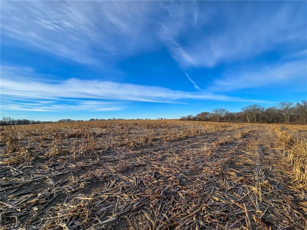 13013 Bradford Road Harveyville, KS 66431 - Photo 7 of 56