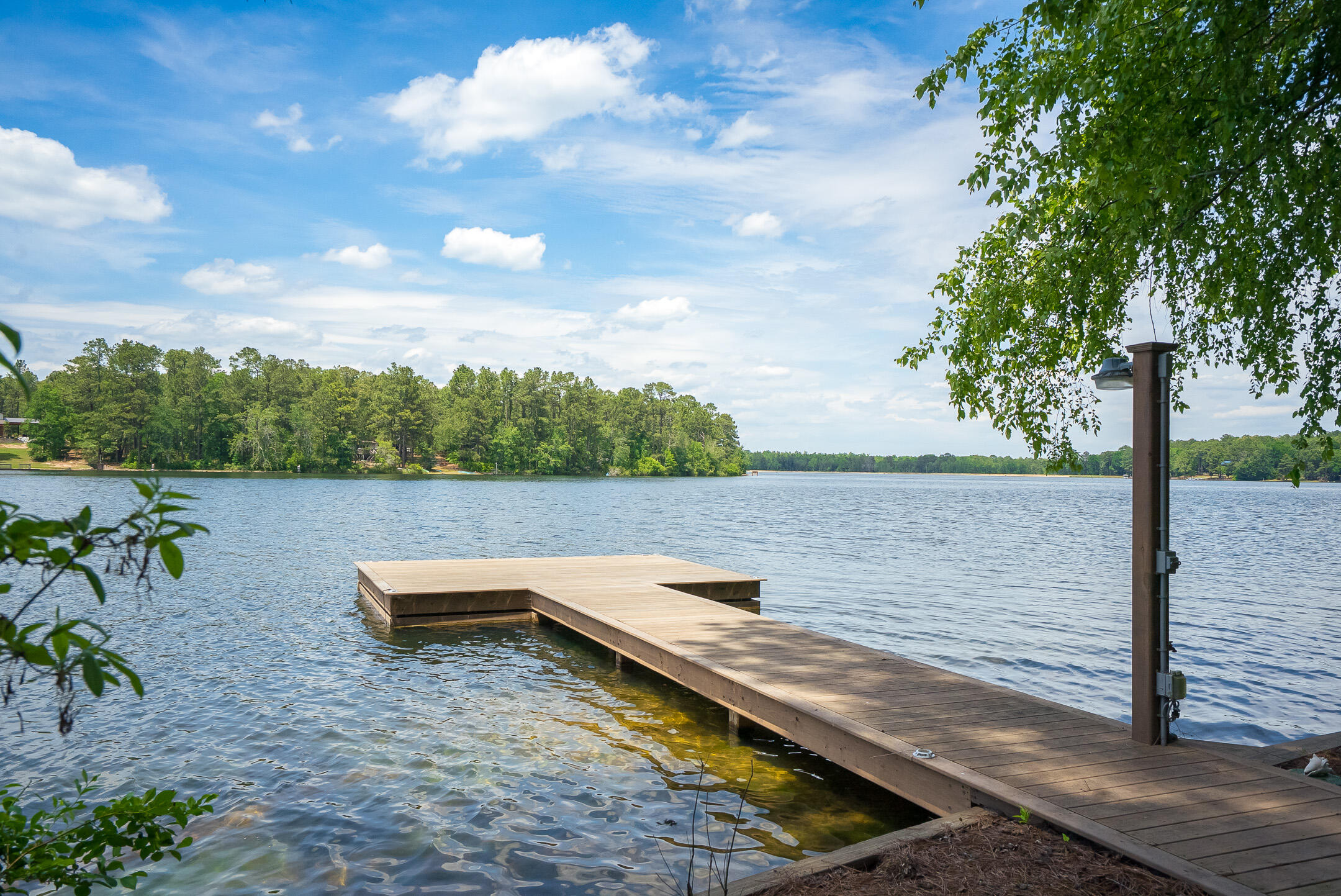 1049 Edisto Lake Road Wagener, SC 29164 - Photo 78 of 96