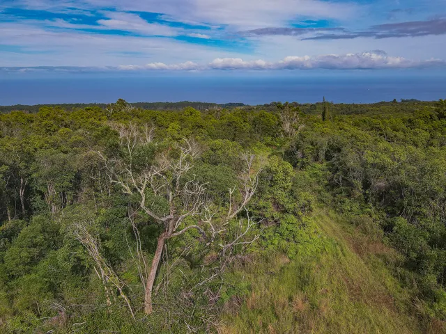 a view of a field with an ocean