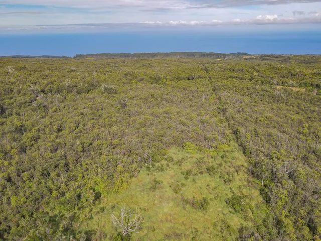 a view of a green field with lots of bushes