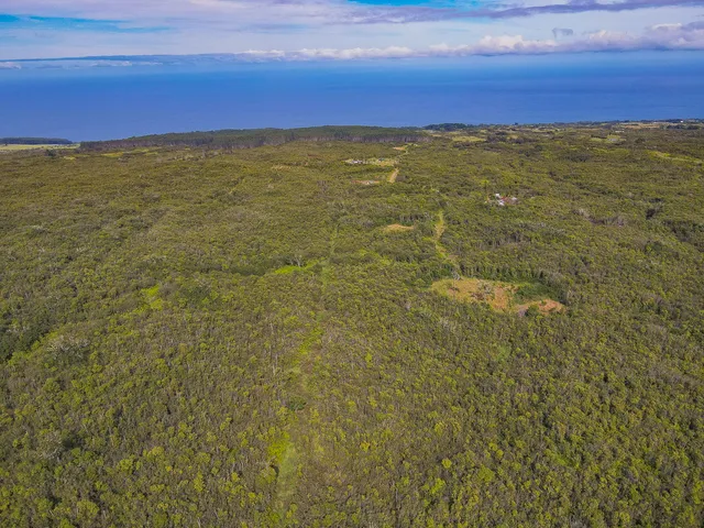 a view of an outdoor space and a yard