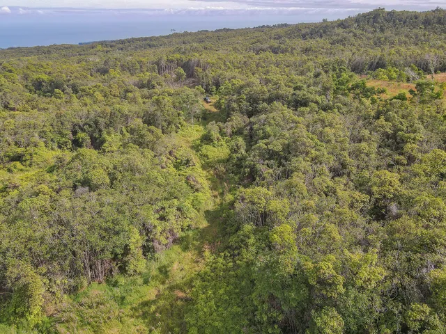 a view of a yard and mountain view in back