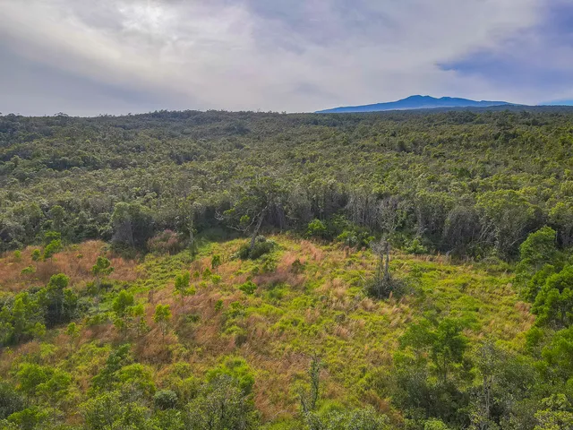 a view of lake with mountain