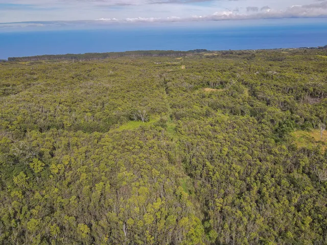$550,000 | 59 Lot 59-a, Laupahoehoe, HI 96764