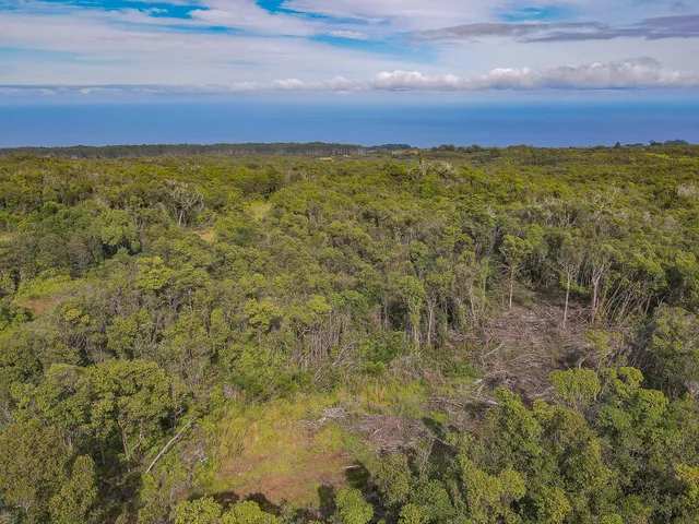 $550,000 | 59 Lot 59-a, Laupahoehoe, HI 96764