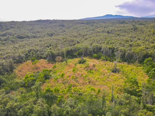 $550,000 | 59 Lot 59-a, Laupahoehoe, HI 96764