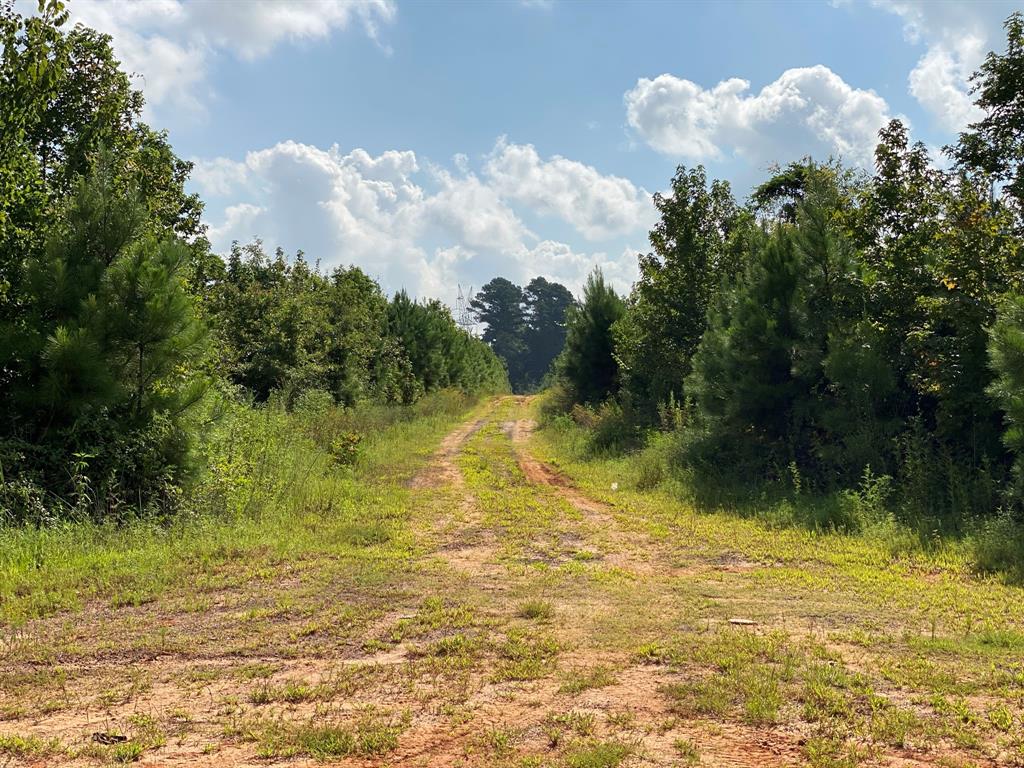 Tbd County Road 394 Tatum, TX 75691 - Photo 6 of 7 a view of a lake view