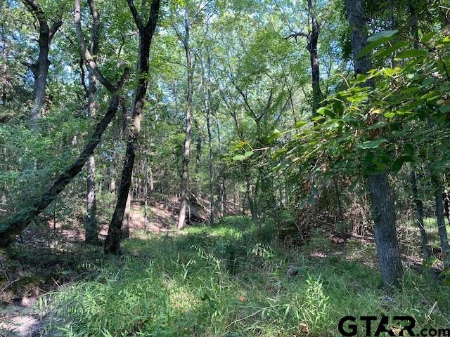 4 B Cr Athens, TX 75751 - Photo 3 of 7 a big yard with lots of green space and house