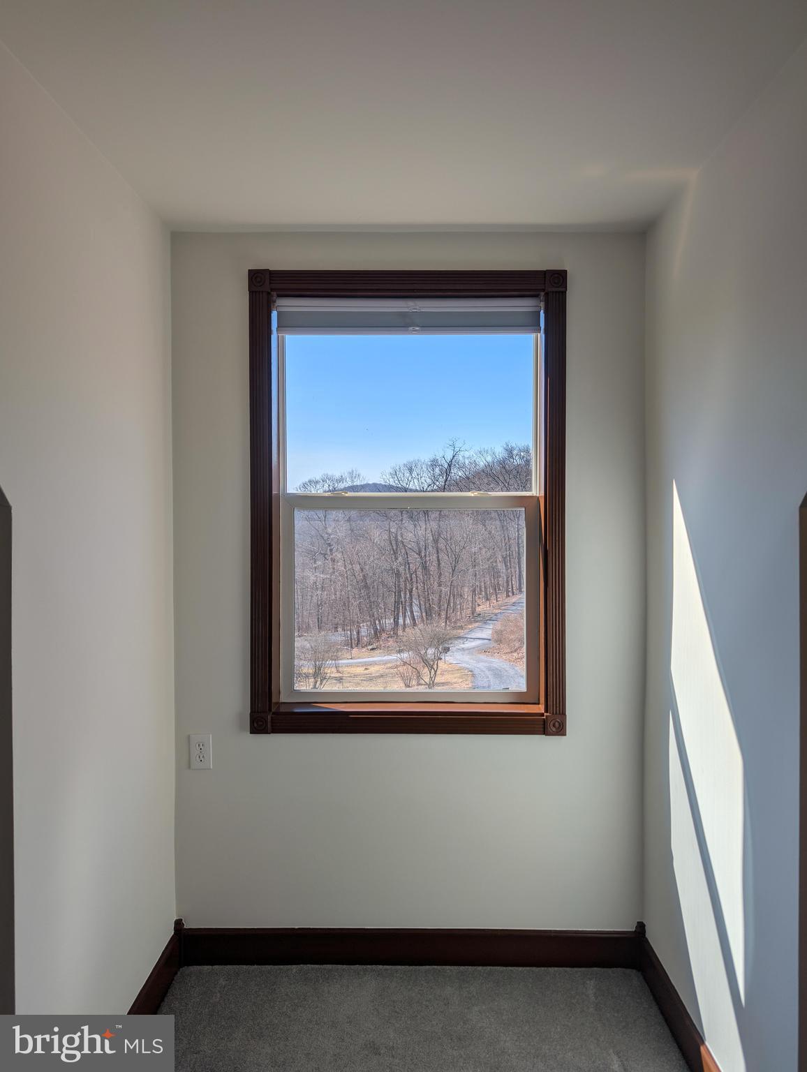 1807 Pine Ridge Road James Creek, PA 16657 - Photo 48 of 89