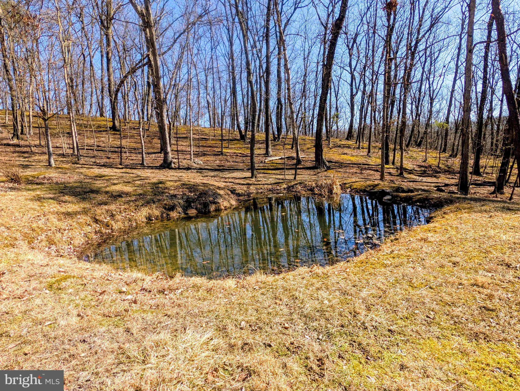 1807 Pine Ridge Road James Creek, PA 16657 - Photo 76 of 89