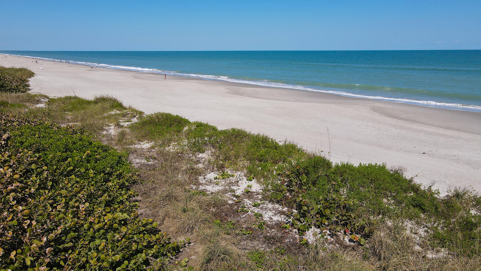 a view of a yard with an ocean view