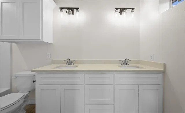 a bathroom with a sink and a toilet