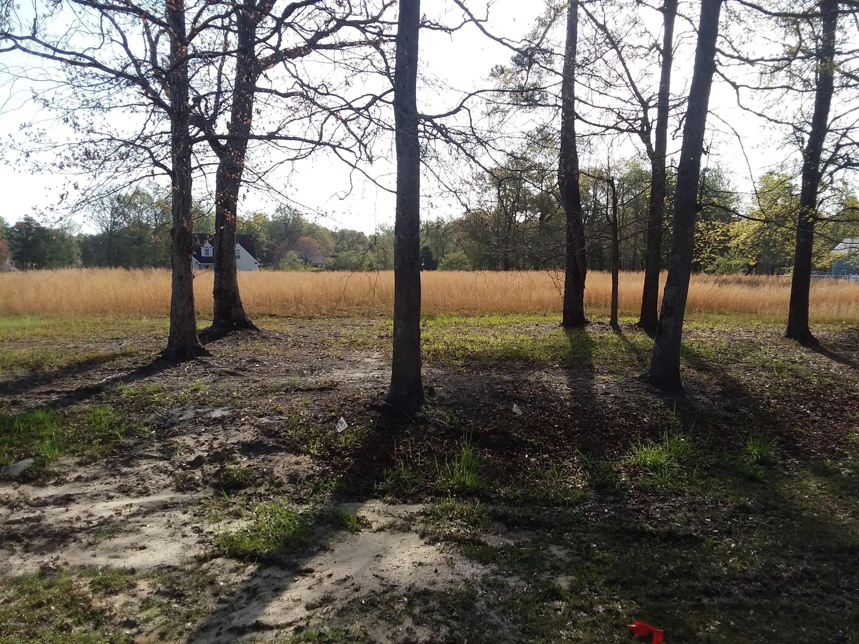 Lot 44 Quilt Road Southwest Supply, NC 28462 - Photo 1 of 9 20180414_091058