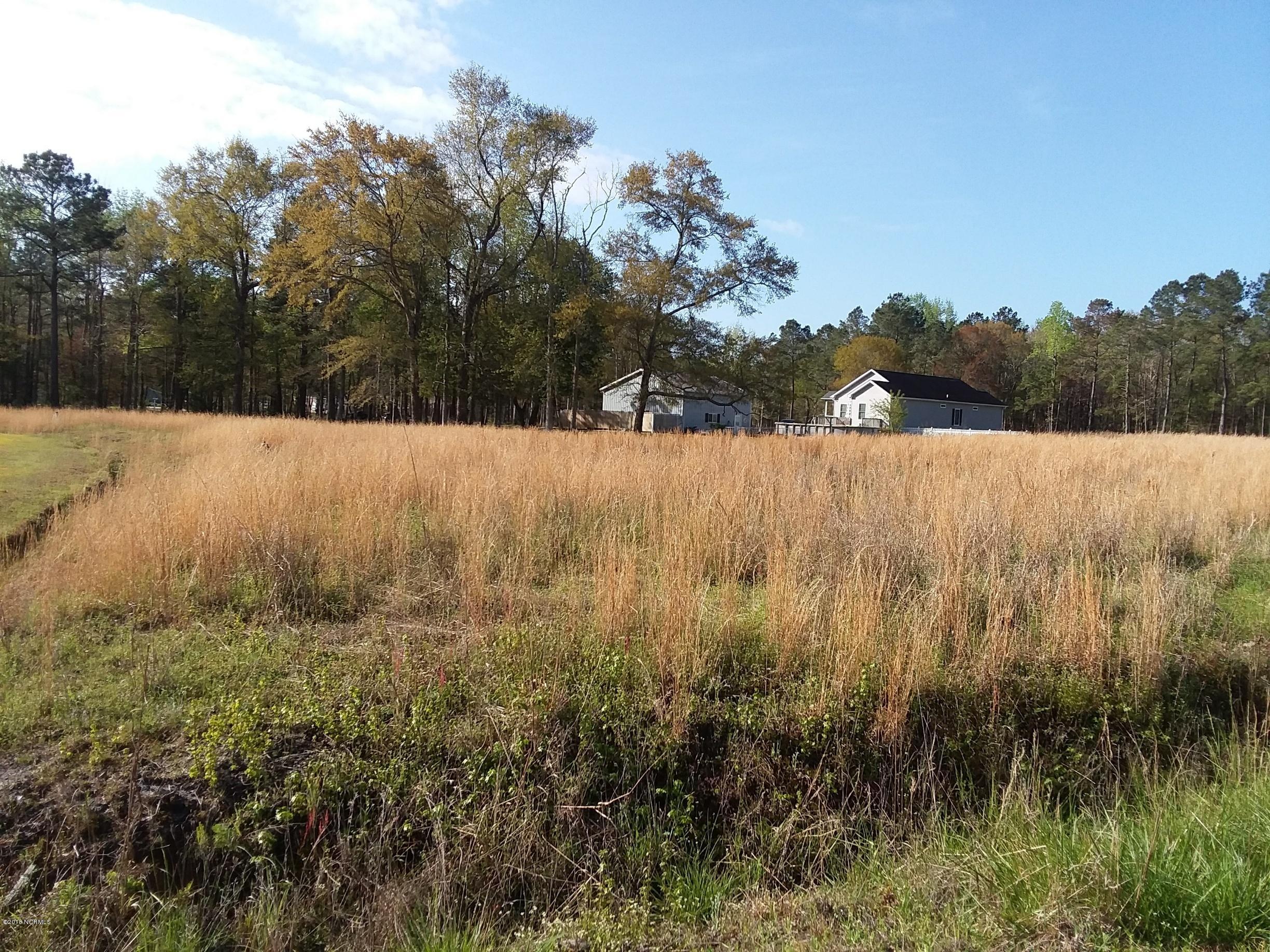Lot 44 Quilt Road Southwest Supply, NC 28462 - Photo 4 of 9 20180414_090542_resized