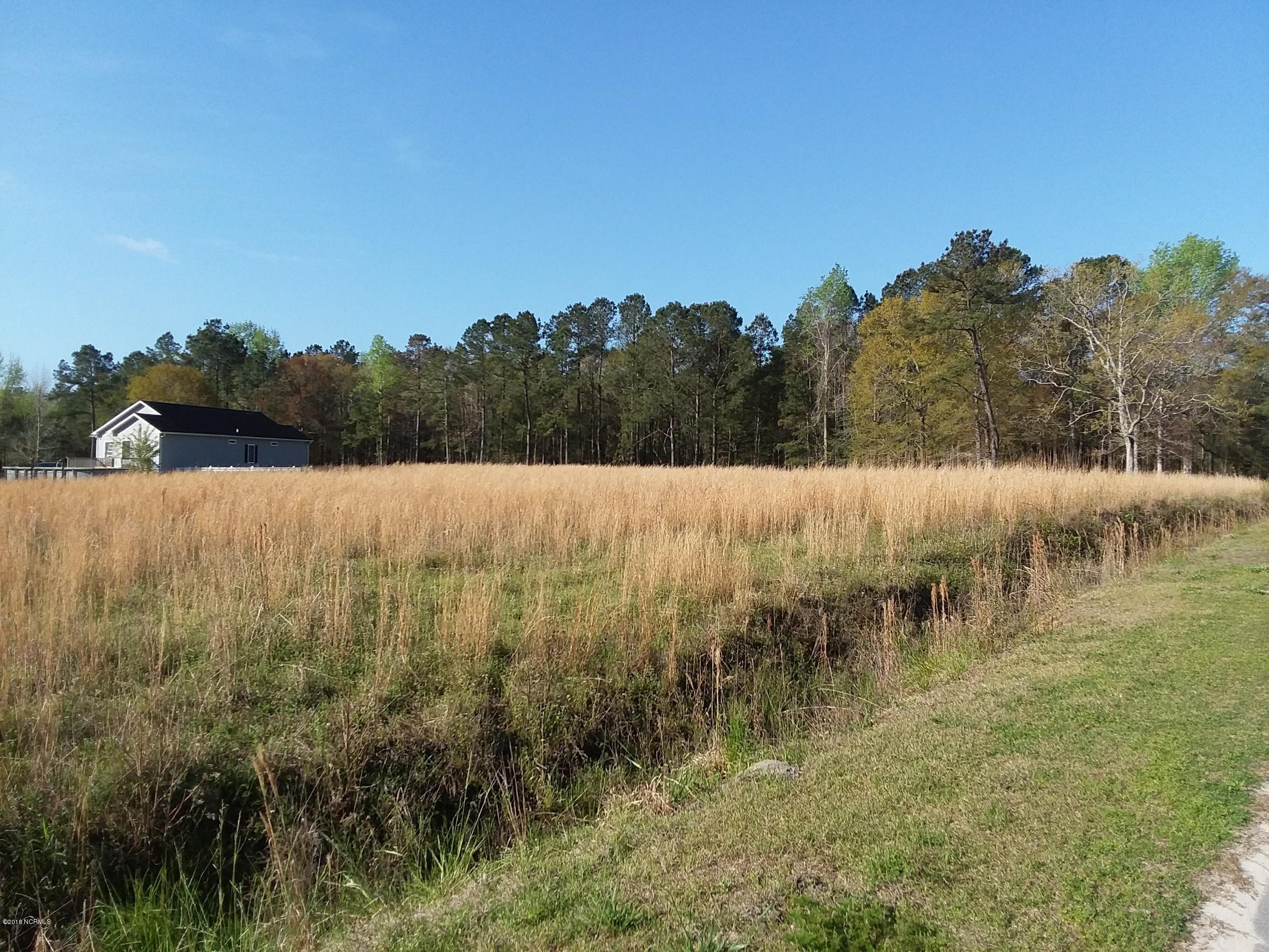Lot 44 Quilt Road Southwest Supply, NC 28462 - Photo 5 of 9 20180414_090554_resized