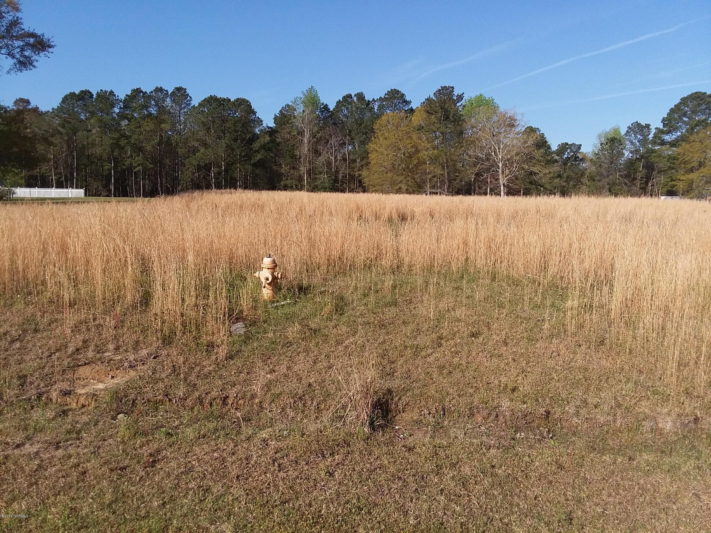 Lot 44 Quilt Road Southwest Supply, NC 28462 - Photo 6 of 9 20180414_090630_resized