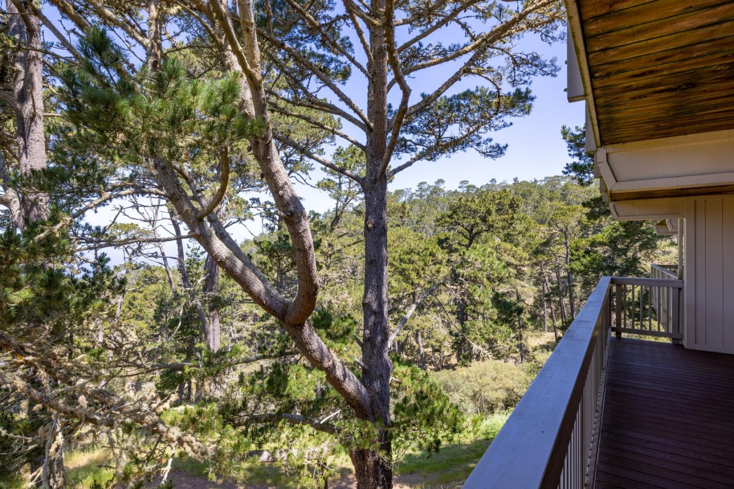 250 Forest Ridge Road, Unit 51 Monterey, CA 93940 - Photo 4 of 33 Gallery Image 4