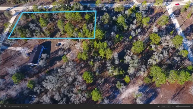 a view of a yard with plants