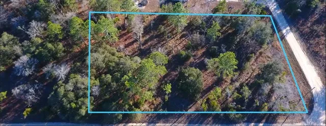 $30,000 | Southeast 136th Avenue, Morriston, FL 32668