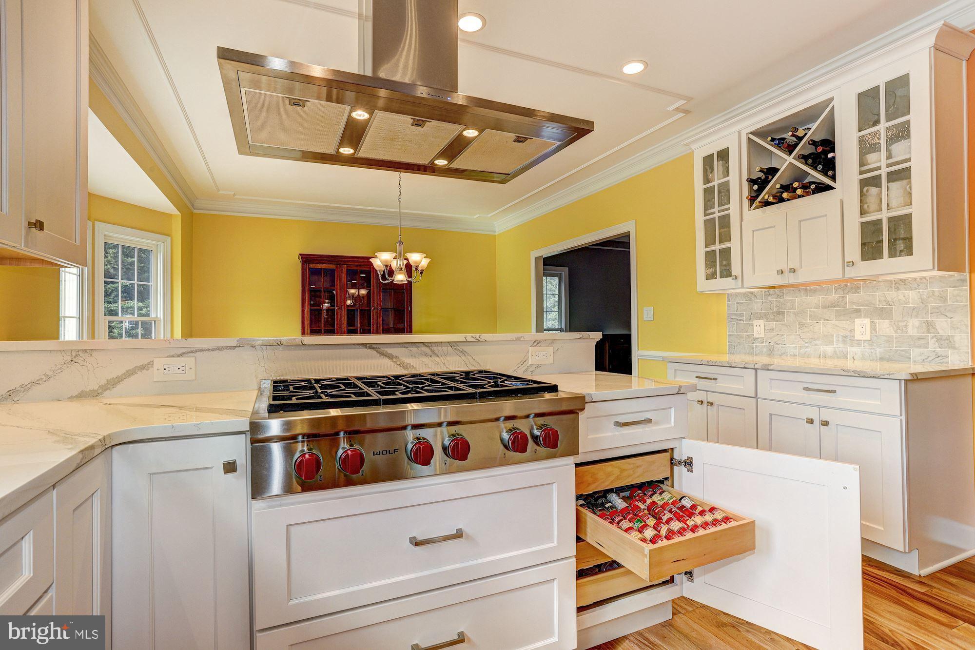 7113 Ramsgate Court Clarksville, MD 21029 - Photo 12 of 46 Gourmet Kitchen | Pull Out Spice Rack