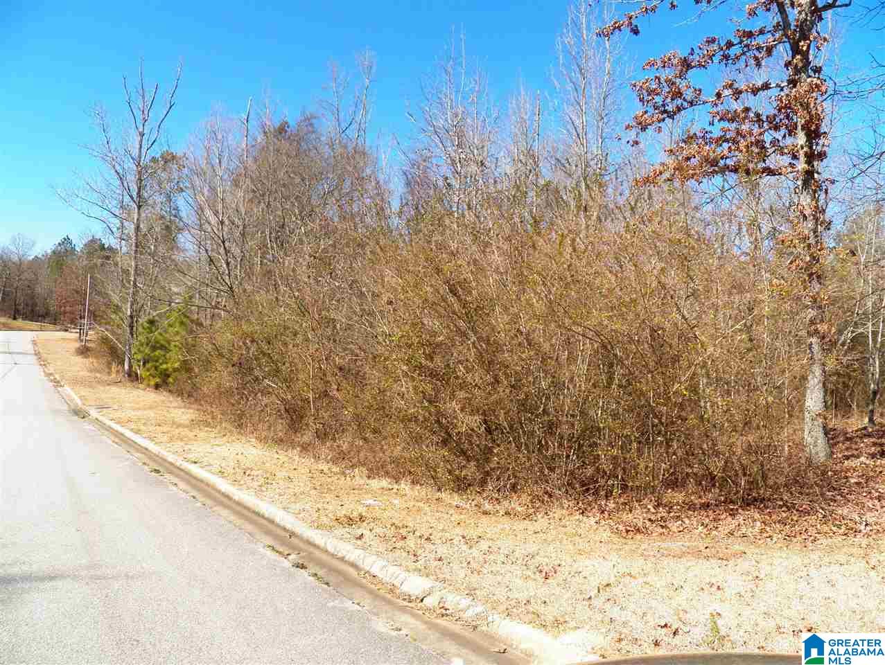 245 Covington Rdg Drive, Unit 34 Jacksonville, AL 36265 - Photo 3 of 11
