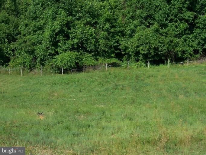 6843 Old Solomons Island Road Friendship, MD 20736 - Photo 17 of 20 a green field with lots of trees in it