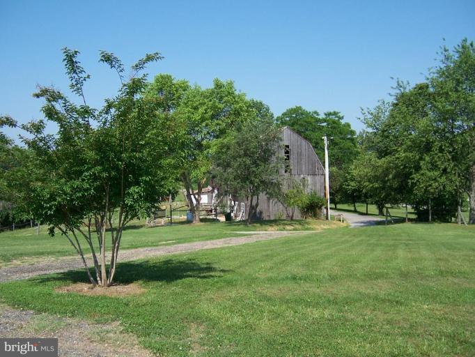6843 Old Solomons Island Road Friendship, MD 20736 - Photo 18 of 20 a view of a trees in a park