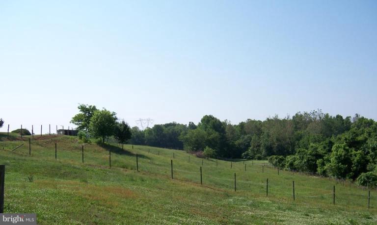 6843 Old Solomons Island Road Friendship, MD 20736 - Photo 19 of 20 a view of a grassy field with trees