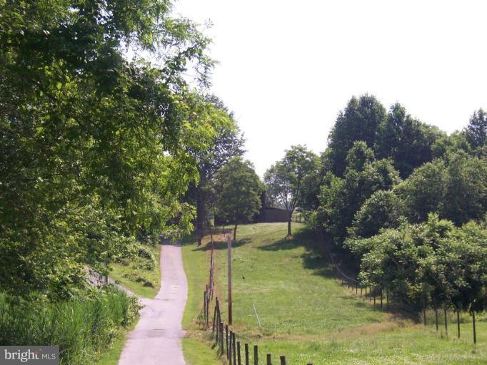6843 Old Solomons Island Road Friendship, MD 20736 - Photo 20 of 20 a view of a garden