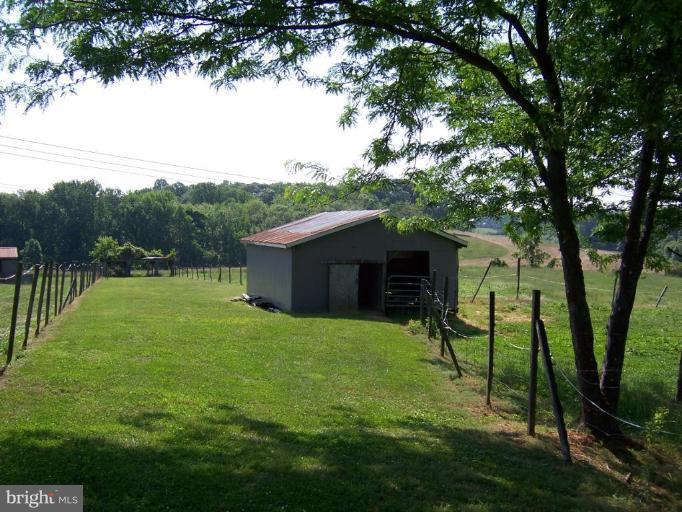 6843 Old Solomons Island Road Friendship, MD 20736 - Photo 5 of 20 a view of backyard with large trees