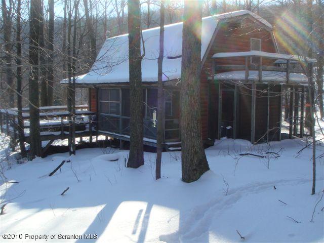 29 Wilderness Road Starrucca, PA 18462 - Photo 3 of 8 Gallery Image 3