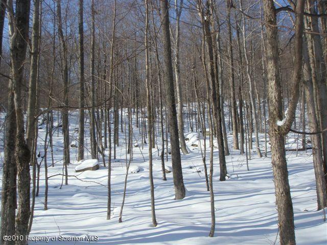 29 Wilderness Road Starrucca, PA 18462 - Photo 4 of 8 Gallery Image 4
