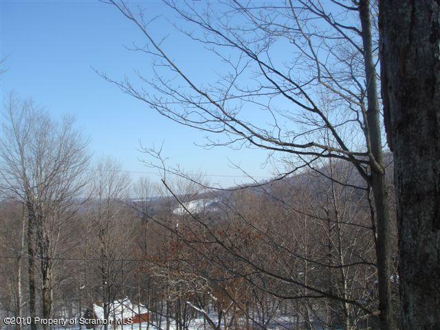 29 Wilderness Road Starrucca, PA 18462 - Photo 5 of 8 Gallery Image 5